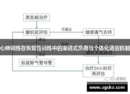 心肺训练在恢复性训练中的渐进式负荷与个体化适应机制